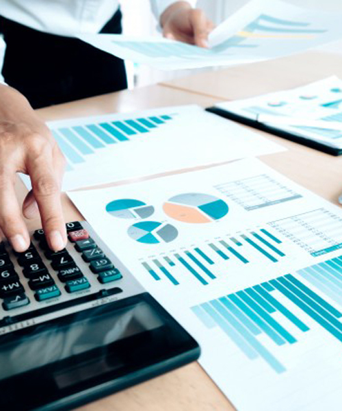 About Taprobane Finance Team