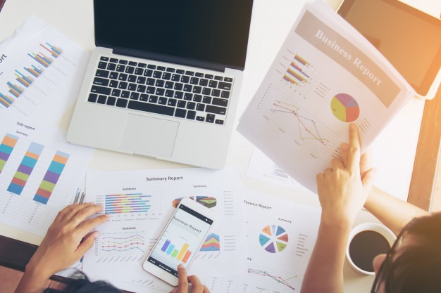Development Finance Project