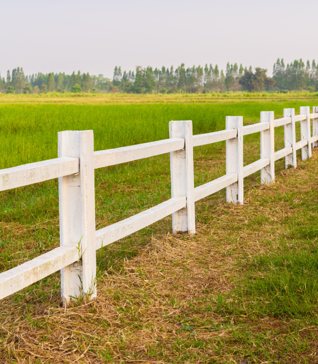 Land Subdivision
